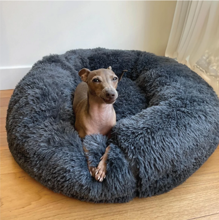 Pawz Dog Calming Bed