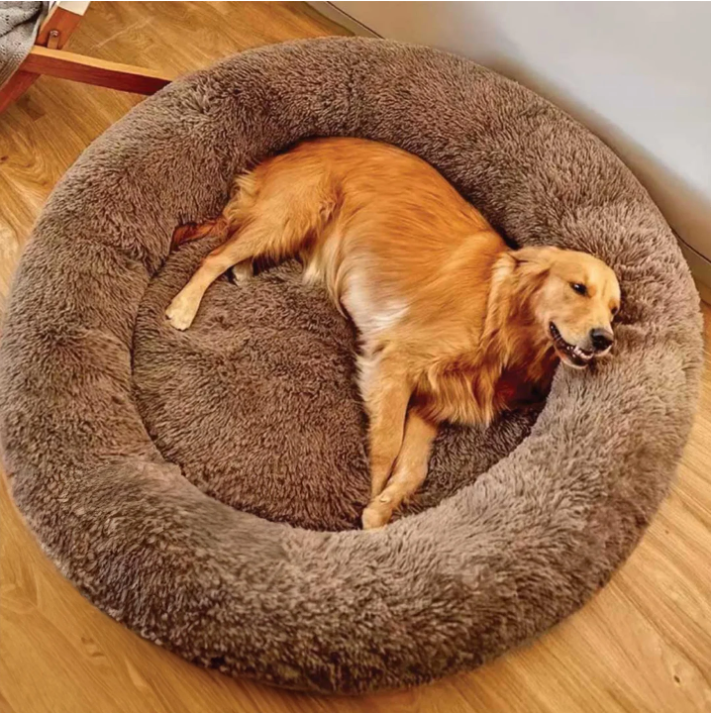 Pawz Dog Calming Bed