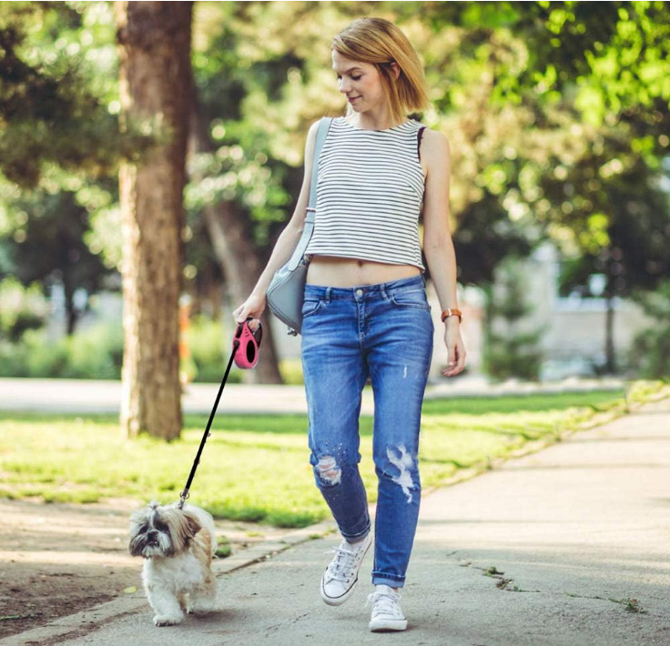 Retractable Dog Leash for Medium - Small Dogs and Cats 16.5FT Tangle Free, Heavy Duty Walking Leash with Anti Slip Handle, Pause and Lock Strong Nylon Tape, Store Dog Leash Retractable